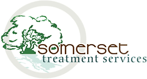 Somerset Treatment Services logo